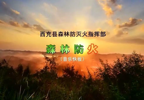 音乐快板《森林防火》